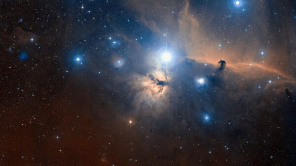 Horsehead and Flame nebula Credit: NASA
